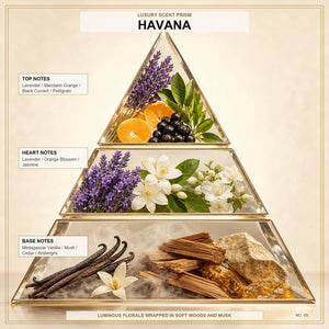 Havana - Midas Fragrances