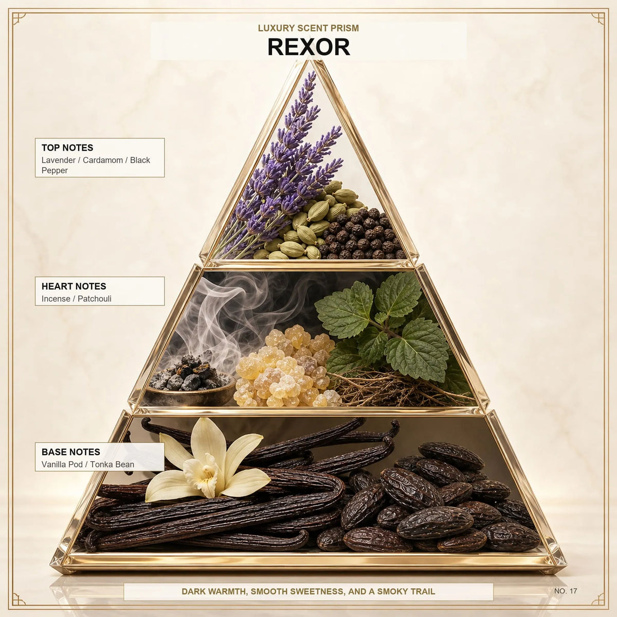 Rexor - Midas Fragrances