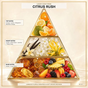 Citrus Rush - Midas Fragrances