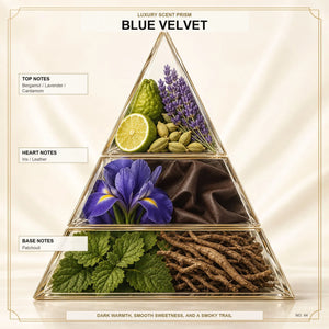 Blue Velvet - Midas Fragrances