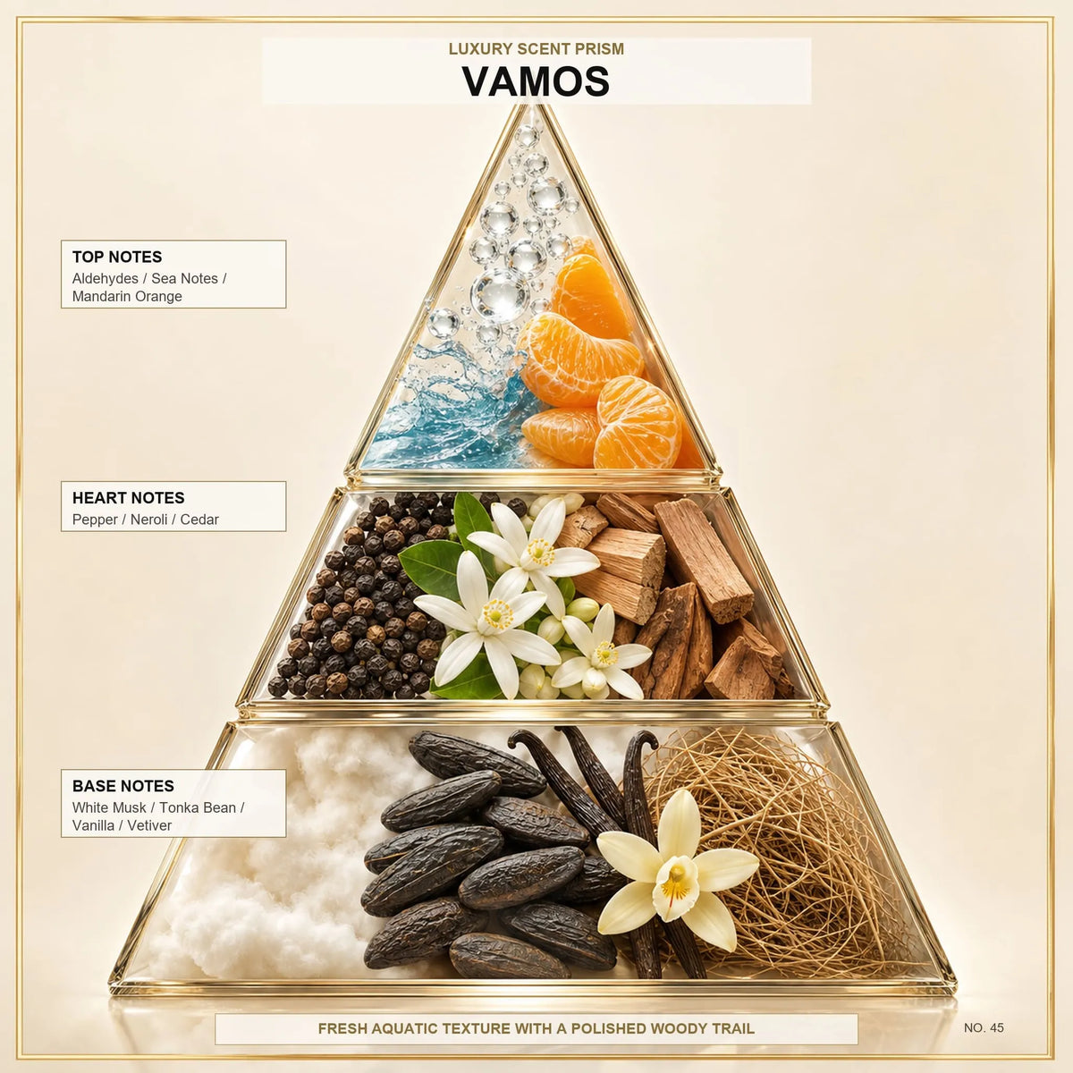 Vamos - Midas Fragrances